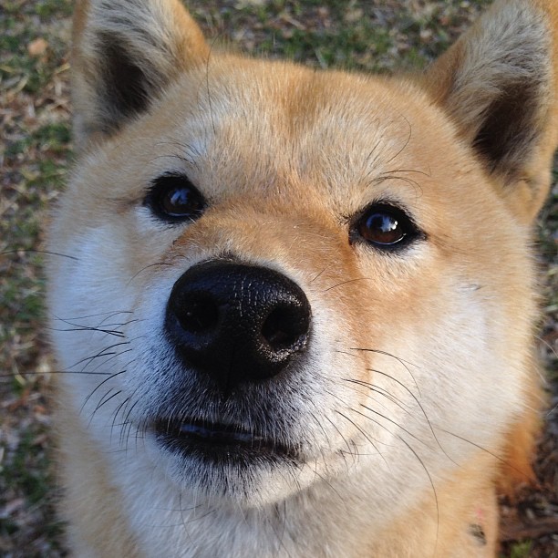 _全场焦点：精彩瞬间持续刷屏_，全场焦点的句子