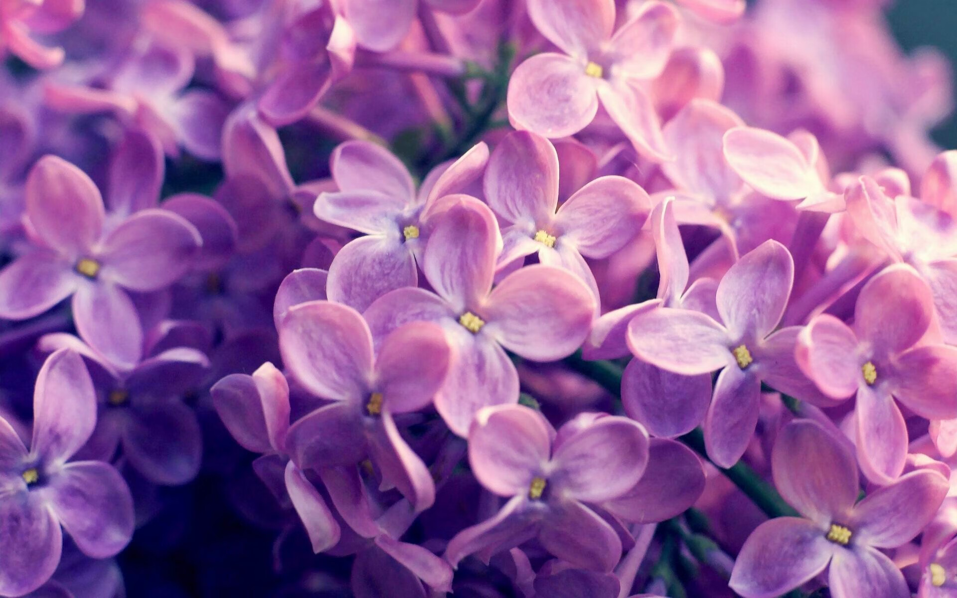 爱游戏体育官方入口-_城市国家运动会：推动全民健身的理想平台_，全国城市运动会一共办了几届