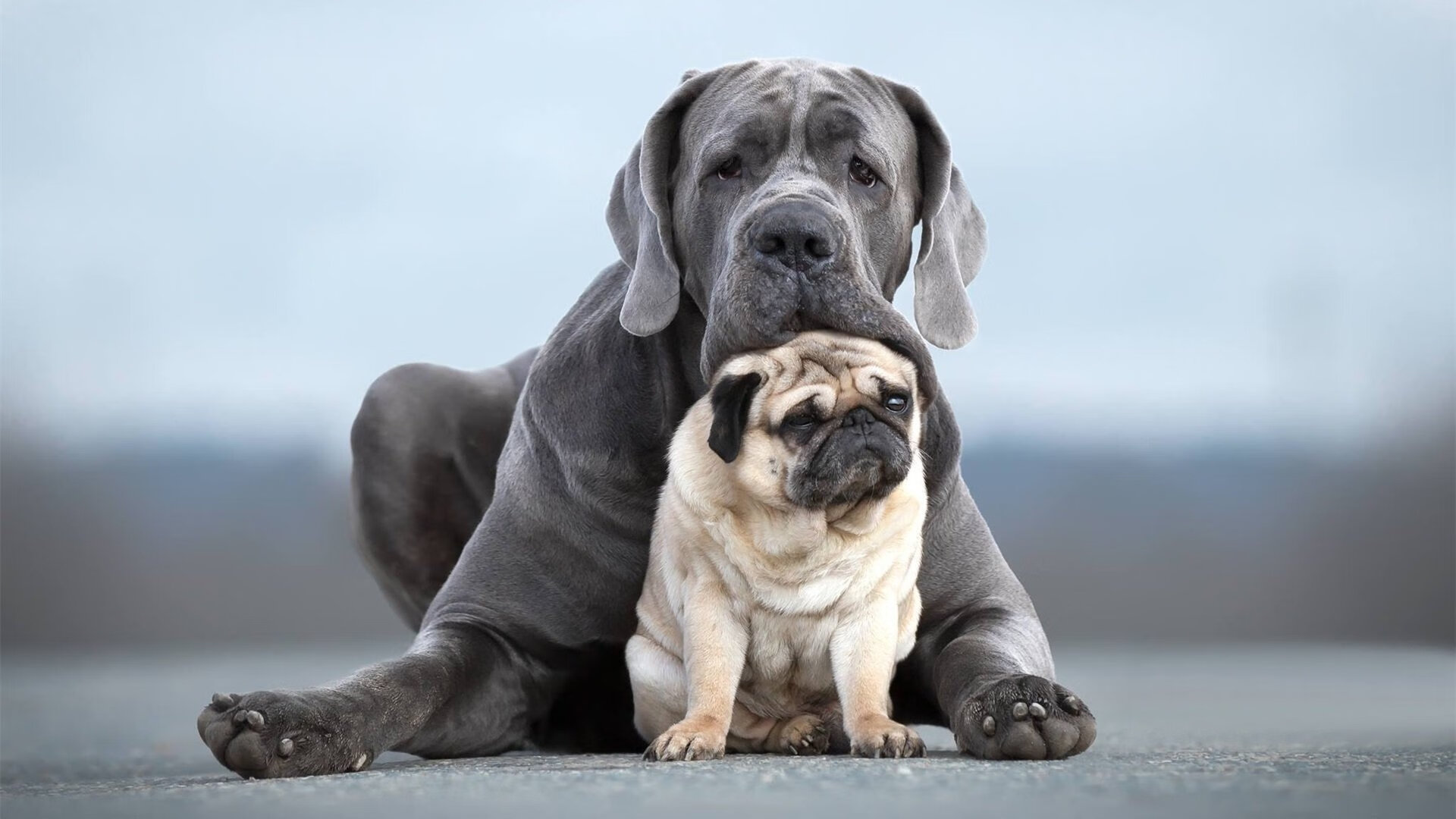 _虚拟运动体验馆：未来体育娱乐新高度_，虚拟体育是什么