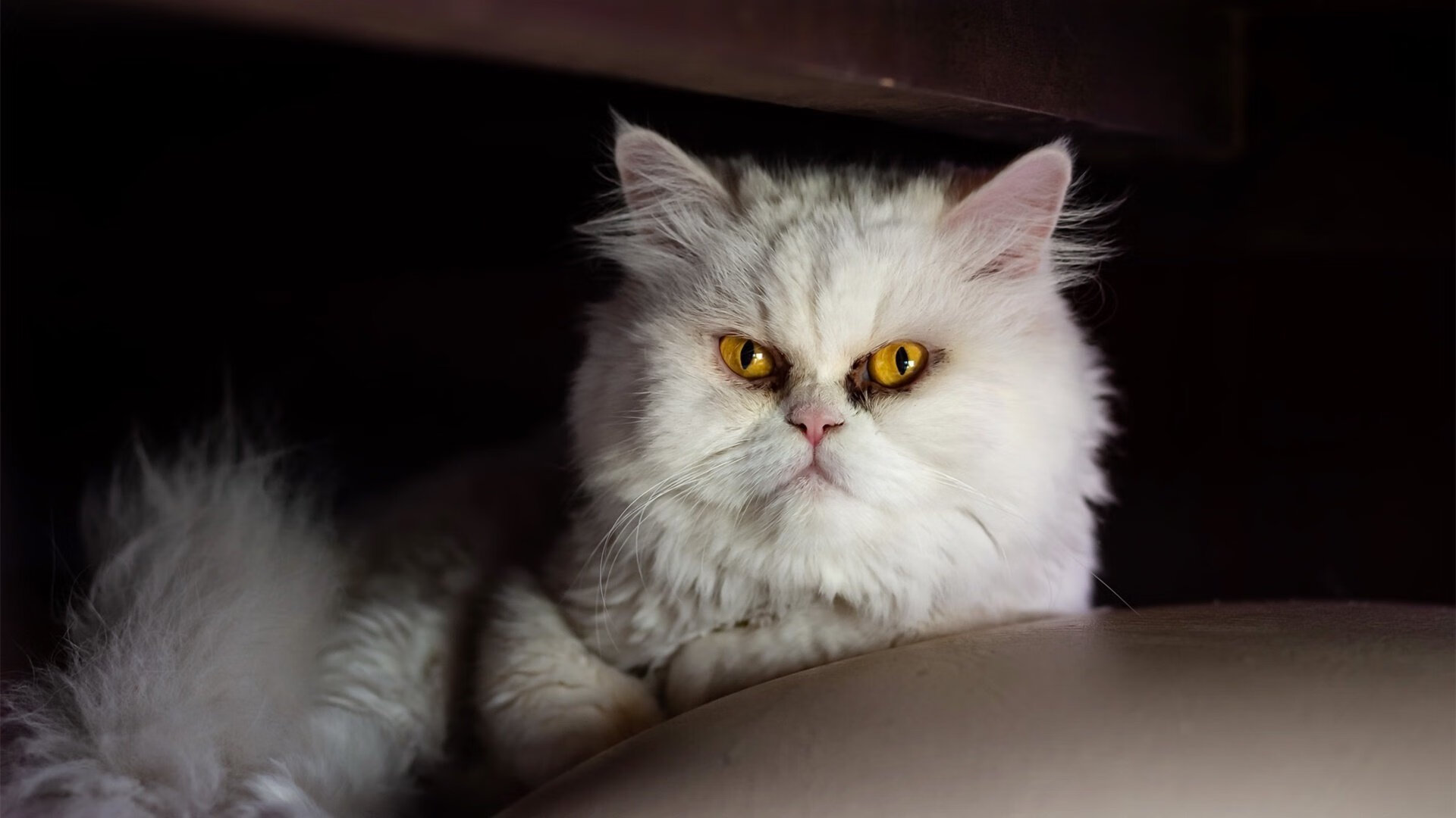 AYX体育-“青年动力”全国青少年篮球社区赛在武汉激烈角逐，2021年全国青少年篮球竞赛计划