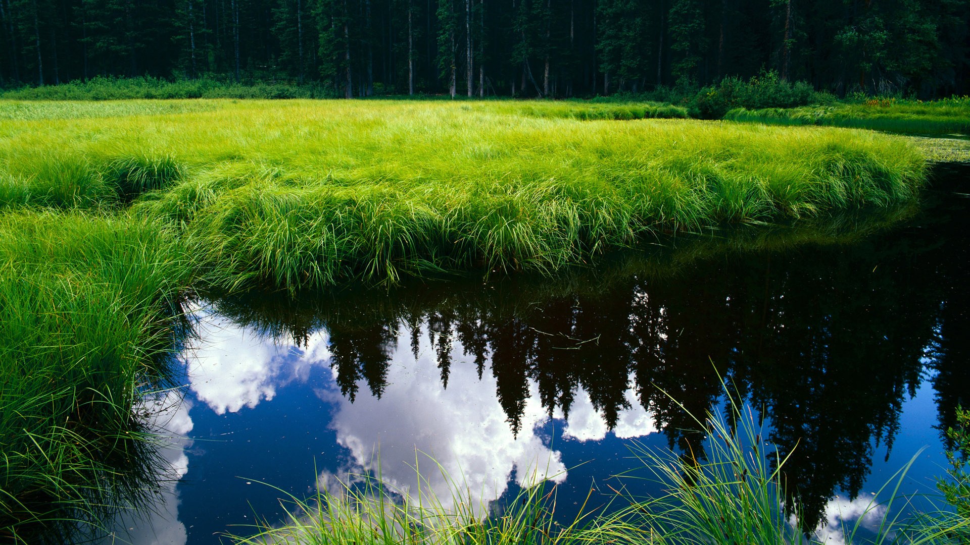 在“逆转”战役中，蒂伊多次用“攻防转换”帮助球队稳住局面！